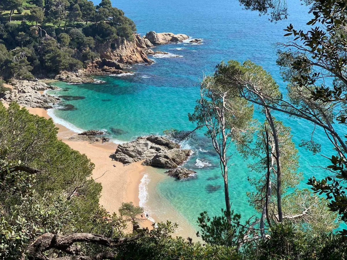Apartments Paradise Lloret Lloret de Mar
